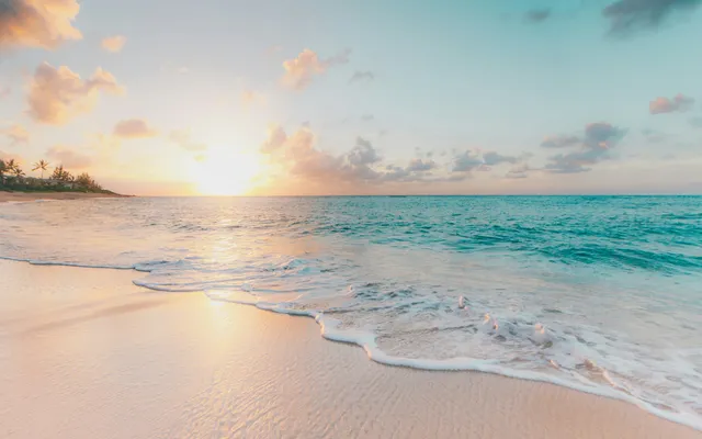 Côte rocheuse et océan aux îles Canaries